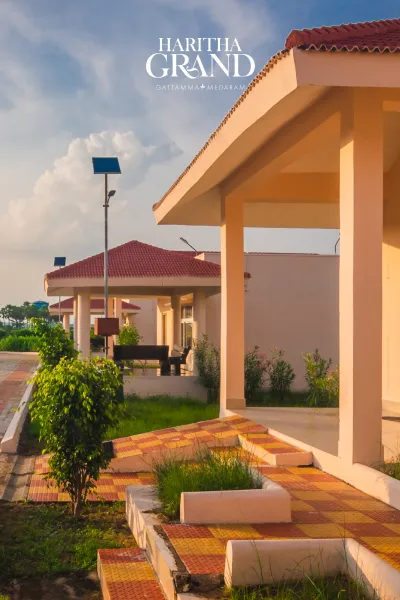 haritha-8